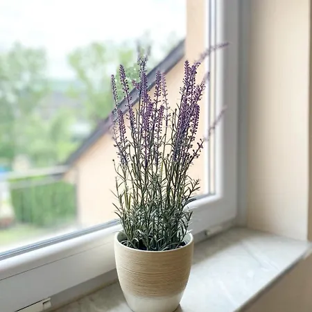 Vilara Apartment Heviz